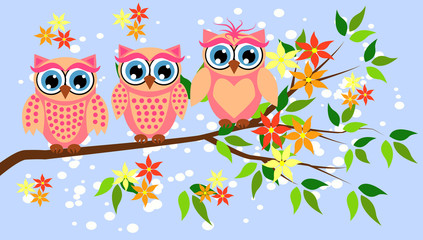 Obraz premium Cute girl owls. Baby showers, parties for baby girls.