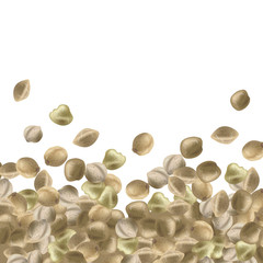 Background with hemp seeds. Marijuana bunch. Vector illustration.