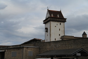 Fototapeta premium city ​​of narva