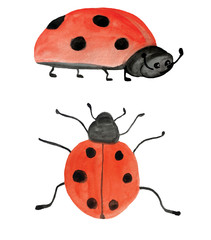 ladybugs on a white background. watercolor illustration for decoration and design of cards, posters, games and books.