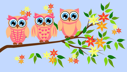 Cute girl owls. Baby showers, parties for baby girls.