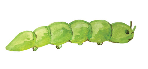 green caterpillar on a white background. watercolor illustration for decoration and design of cards, posters, games and books.