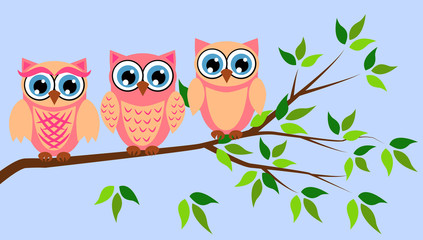 Obraz premium Cute girl owls. Baby showers, parties for baby girls.
