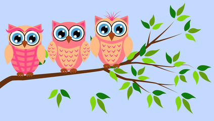 Cute girl owls. Baby showers, parties for baby girls.