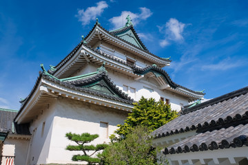 Obraz premium 和歌山城