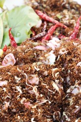 Eggs ants and ants in the market