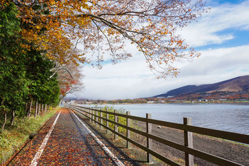Walking trails pathway and riding an exercise bike at  Lake Yamanaka in the autumn season of Japan