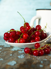 Fresh red currant / Top view red ripe currants fruit and green leaf on dark background