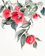 red camellia flowers - 259576166