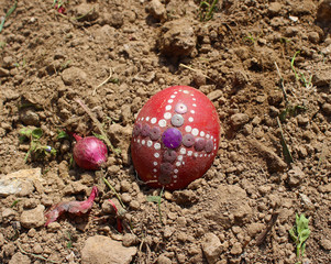 Burying the Old Easter egg in the first furrow of the earth. Old Slavic pagan fertility ceremony
