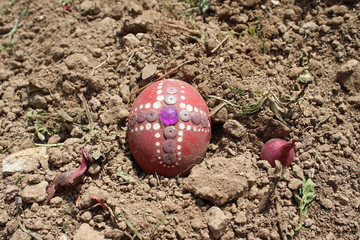 Burying the Old Easter egg in the first furrow of the earth. Old Slavic pagan fertility ceremony