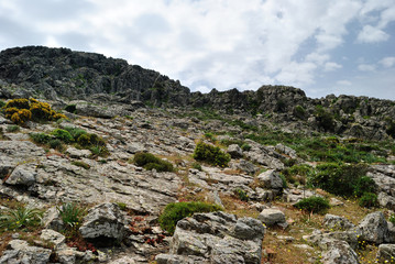 Fototapeta na wymiar Veduta di Monte Tratzalis
