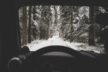 snow forrest drive © David