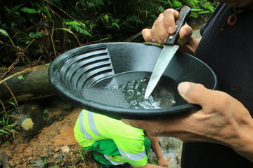 Someone picking a golden flake out a gold pan with a knife