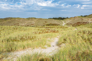 Dunes landscape in north Jutland, North Sea coast, Denmark