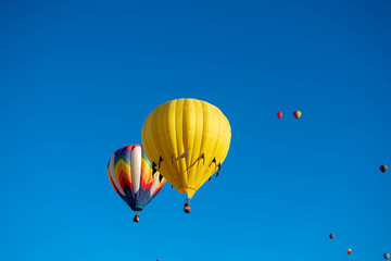 hot air balloons in the sky