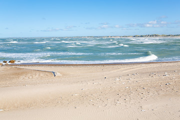 North Sea coast in Klitmoller, Jutland, Denmark