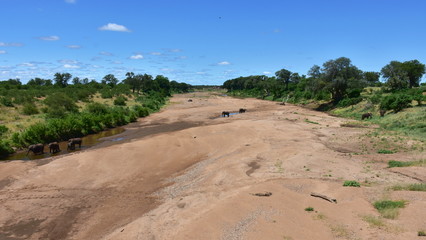Shingwedzi river short after rainy seson without water ,Kruger national park