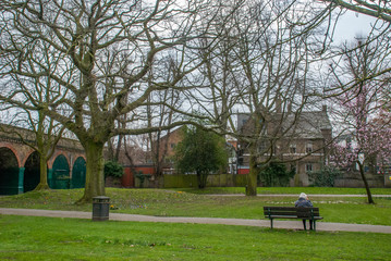 Obraz premium Ravenscourt Park in the afternoon