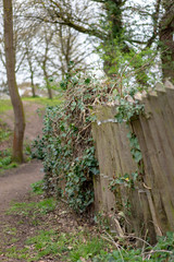 old wooden fence in the forest