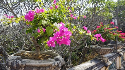 Phra Nakon Kiri Temple Complex in Thailand