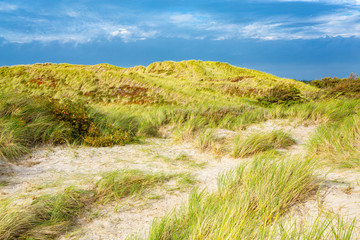 Scenic North Sea coast in northern Jutland, Denmark