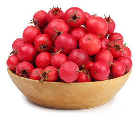 Hawthorn in a Cup isolated on white