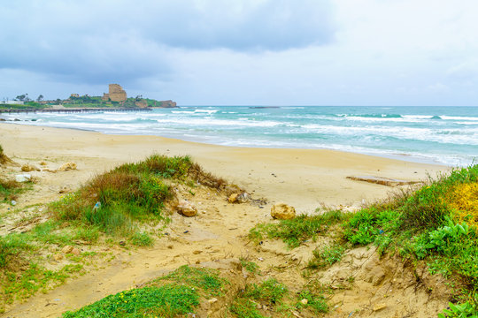 Atlit beach and fortress (Chateau Pelerin)