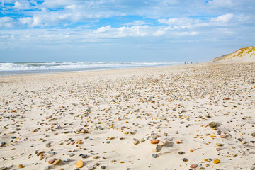 North Sea coast in northern Jutland, Denmark