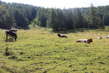 St.Gilgen