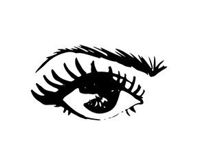 Illustration of hand-drawn woman's eye with shaped eyebrows and full lashes.