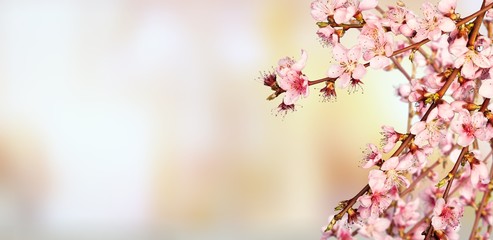 Background.