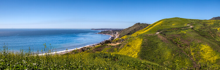 Naklejka premium Corral Canyon Super Bloom Panorama