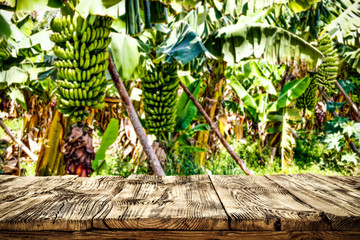 Wooden old board of free space for your decoration and bananas plantation. 