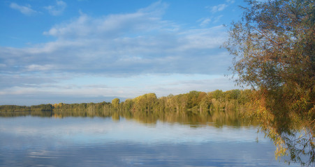 am Hinsbecker Bruch in den Krickenbecker Seen,Schwalm-Nette,Niederrhein,NRW,Deutschland