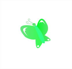 vector logo of butterfly for pet shop and floral shop