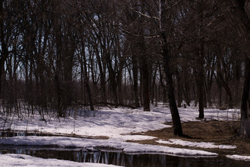 winter in the park