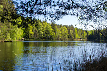 Fototapeta na wymiar Hauklampi pond view, Nuuksio national park, Espoo, Finland