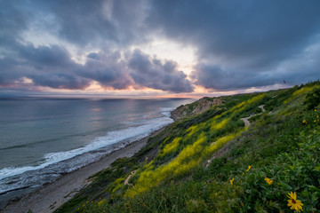 Dramatic Sunset at Ocean Trails Reserve