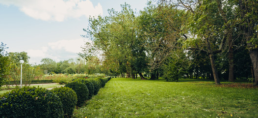 Beautiful view of green city park with flower beds