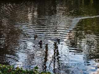 OLYMPUS DIGITAL CAMERA - PARKS