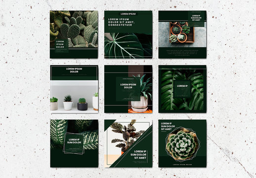 Social Media Post Layouts with Green Accents and Plant Imagery