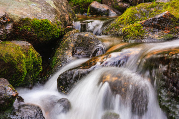 High Mountain Stream in the Laramie Mountains of Colorado.