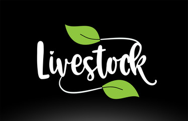 Livestock word text with green leaf logo icon design