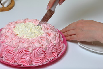 A woman cuts a sponge cake decorated with a cream with shades of pink. On a white background.
