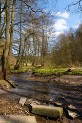 Spaziergang an einem Fluss im Frühling II