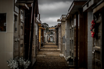 Fototapeta na wymiar Cemetery in a cloudy day/ Cemetery dark image