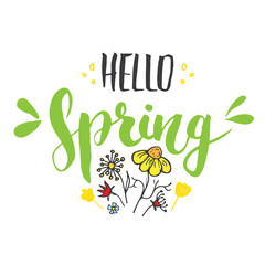 Fototapeta premium Hello Spring Calligraphy lettering handwritten sign, Hand drawn grunge calligraphic text. Vector illustration