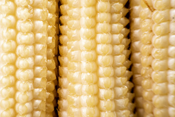 Fresh young baby corn macro background