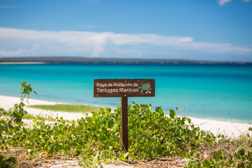 Turtle eggs. The place where the turtles lay their eggs. Pointer sign in Spanish. Caribbean Sea, Dominican Republic, Barahona Bahia de las Aguilas © Bankerok